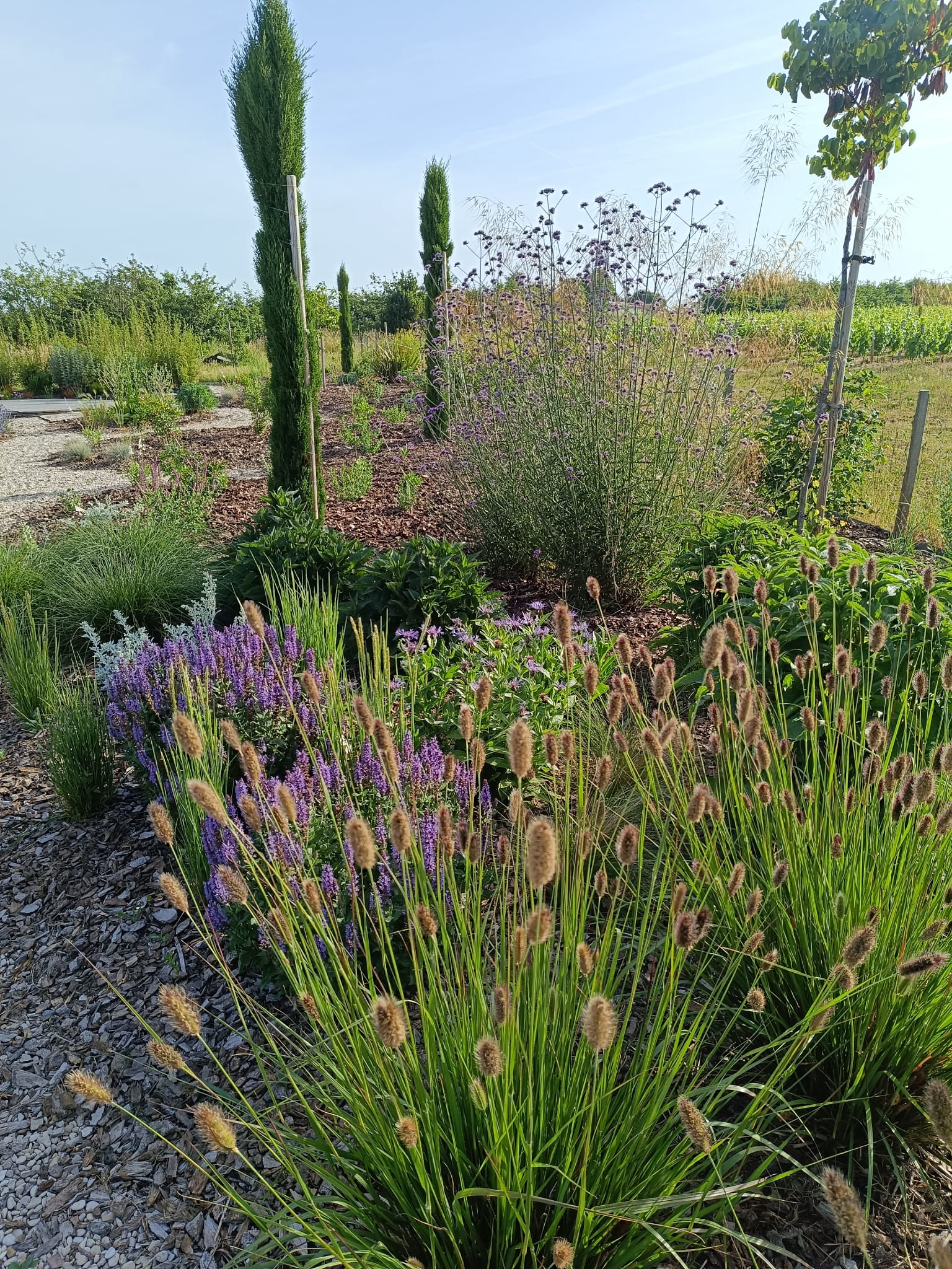 Aménagement d'un jardin avec plantations, un éloge à la Provence - Vallet