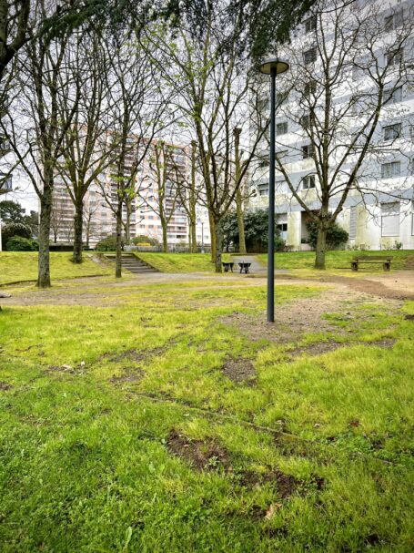 Entretien espace copropriété désherbage AVANT
