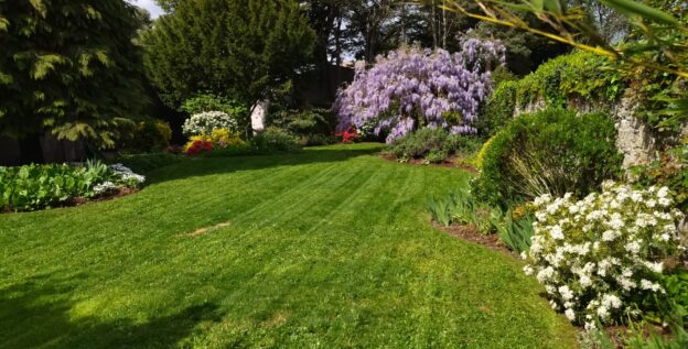 Entretien de jardin, Tonte, Nettoyage des massifs