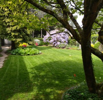 Entretien de jardin, Tonte, Nettoyage des massifs