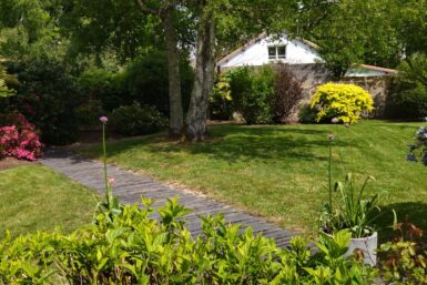 Tonte Taille et désherbage massif {{brizy_dc_image_alt imageSrc=