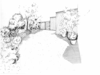 Dessin projet jardin pergolas plantation